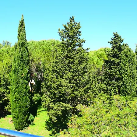 Apartament Milica *