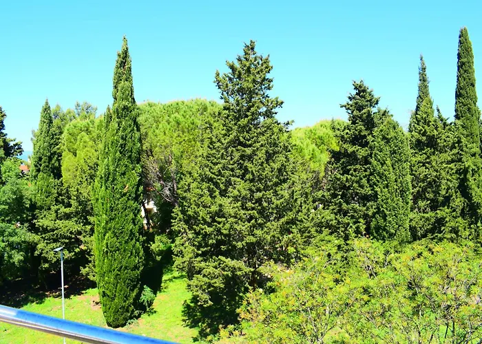 Apartman Milica *