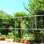 Apartman Milica *