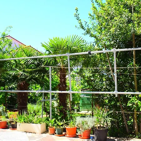Appartement Milica *